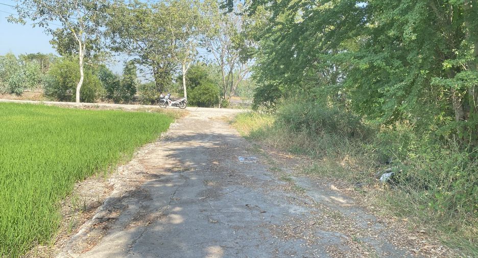 For sale land in Sena, Phra Nakhon Si Ayutthaya
