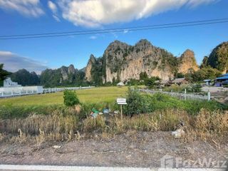 For sale land in Noen Maprang, Phitsanulok