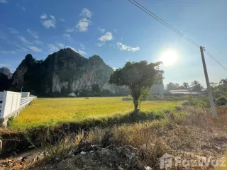 For sale land in Noen Maprang, Phitsanulok