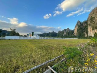 For sale land in Noen Maprang, Phitsanulok