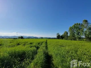 For sale land in Phaya Mengrai, Chiang Rai