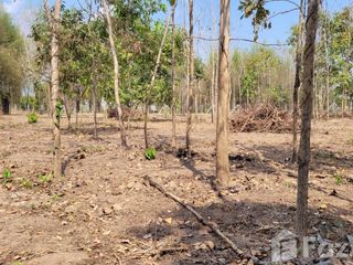 For sale land in Tha Wang Pha, Nan