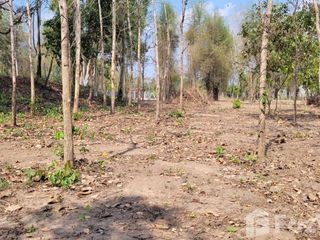 For sale land in Tha Wang Pha, Nan