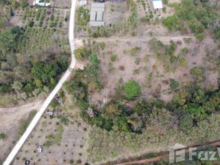 For sale land in Tha Wang Pha, Nan