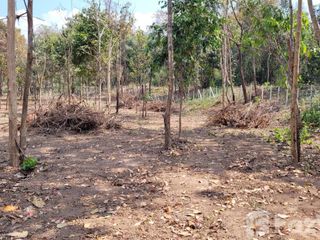 For sale land in Tha Wang Pha, Nan
