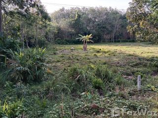 For sale 2 bed house in Cha-uat, Nakhon Si Thammarat