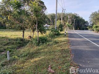 For sale 2 bed house in Cha-uat, Nakhon Si Thammarat