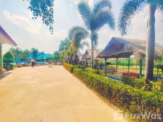 For sale 2 Beds retail Space in Phu Sang, Phayao