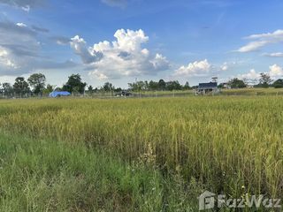 For sale land in Mueang Khon Kaen, Khon Kaen