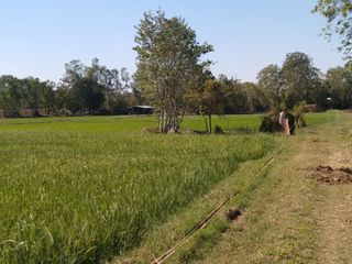 For sale land in Kantharawichai, Maha Sarakham