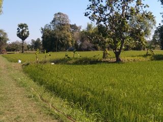 For sale land in Kantharawichai, Maha Sarakham