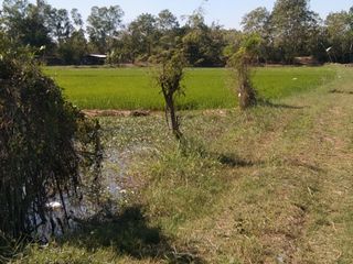 For sale land in Kantharawichai, Maha Sarakham