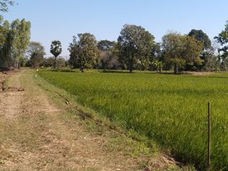 For sale land in Kantharawichai, Maha Sarakham