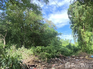 For sale land in Sikhio, Nakhon Ratchasima