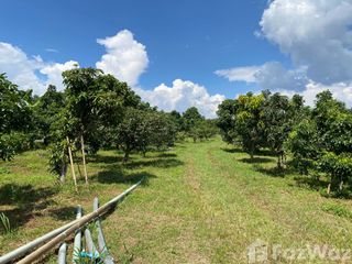 For sale land in Chiang Dao, Chiang Mai