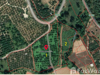 For sale land in Chiang Dao, Chiang Mai