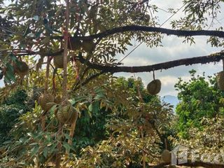 For sale land in Makham, Chanthaburi