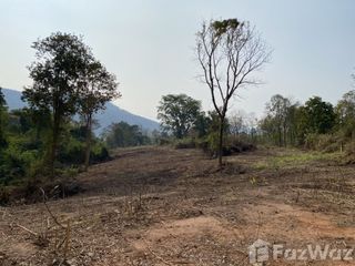 For sale land in Wang Thong, Phitsanulok
