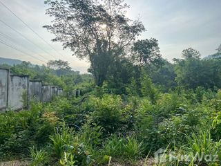For sale land in Wang Thong, Phitsanulok