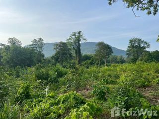 For sale land in Wang Thong, Phitsanulok