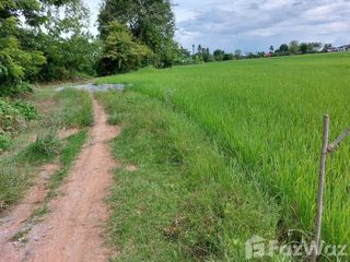 For sale land in Muang Nan, Nan