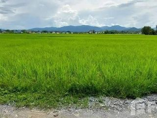 For sale land in Muang Nan, Nan