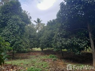 For sale land in Pa Phayom, Phatthalung