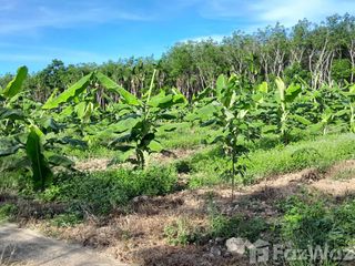 For sale land in Pa Phayom, Phatthalung
