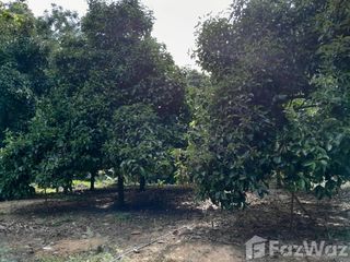 For sale land in Pa Phayom, Phatthalung
