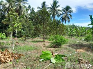 For sale land in Pa Phayom, Phatthalung