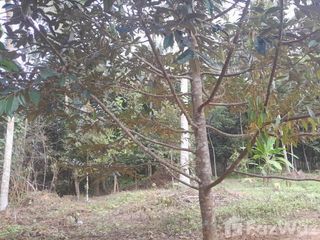 For sale land in Pa Phayom, Phatthalung