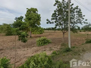 For sale land in Non Thai, Nakhon Ratchasima