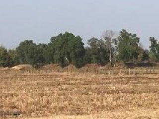 For sale land in Mae Sai, Chiang Rai