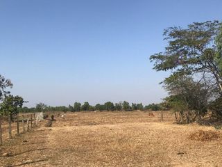 For sale land in Mae Sai, Chiang Rai