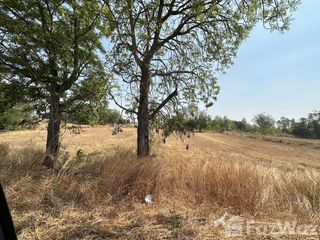 For sale land in Tak Fa, Nakhon Sawan