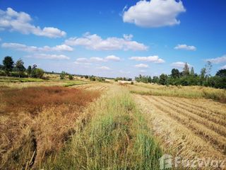 For sale land in Mueang Khon Kaen, Khon Kaen