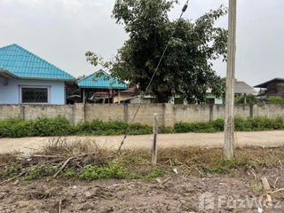 For sale land in Wiang Pa Pao, Chiang Rai