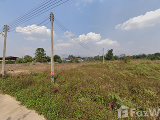 For sale land in Wiang Pa Pao, Chiang Rai