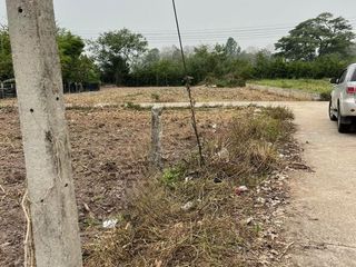 For sale land in Wiang Pa Pao, Chiang Rai