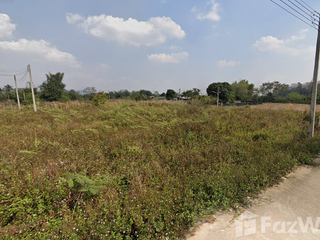 For sale land in Wiang Pa Pao, Chiang Rai