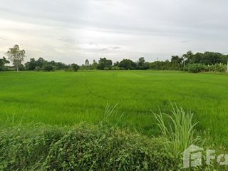 For sale land in Banphot Phisai, Nakhon Sawan