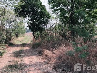 For sale land in Nam Phong, Khon Kaen