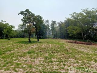For sale land in Prang Ku, Sisaket