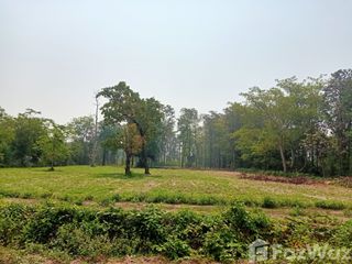 For sale land in Prang Ku, Sisaket