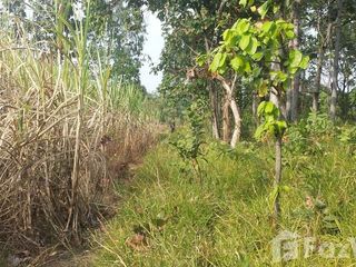 For sale land in Kuchinarai, Kalasin