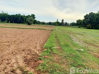 For sale land in Prang Ku, Sisaket