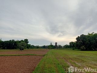 For sale land in Prang Ku, Sisaket