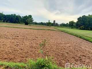 For sale land in Prang Ku, Sisaket