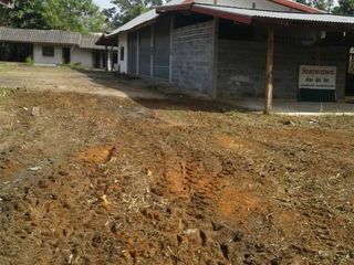 For sale land in Si Songkhram, Nakhon Phanom