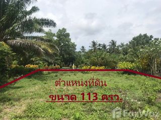 For sale land in Thung Wa, Satun